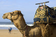 "agadir" "agadir"