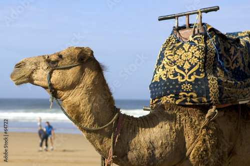 "agadir"