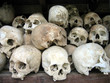 human skulls