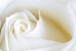 canvas print picture sensual delight