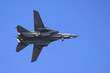 f-14 tomcat from side