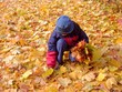 fall