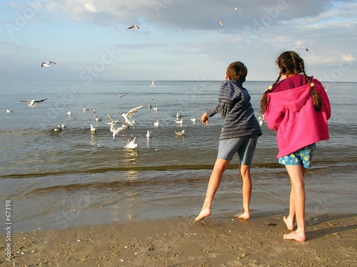 children feeding gulls children feeding gulls