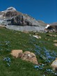 peña collarada, aragon, pyrénées espagnoles