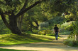 walk in the park walk in the park