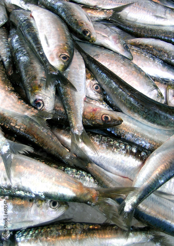 poissons