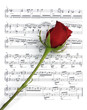 single music rose single music rose
