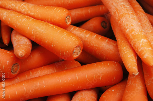 carrot