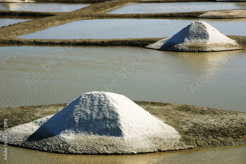 tas de sel de noirmoutier (vendée)