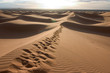 traçes de pas dans les dunes