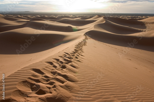 traçes de pas dans les dunes
