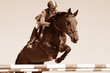 cheval jumping