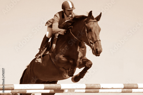 cheval jumping