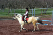 équitation 2
