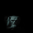 gargoyle in moonlight gargoyle in moonlight