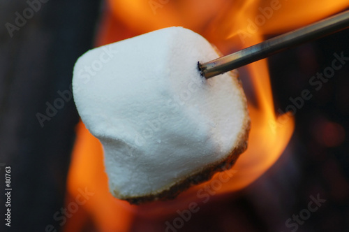 roasting marshmallow