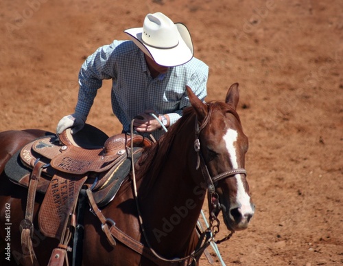 life in the saddle life in the saddle