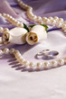 wedding rings and roses wedding rings and roses