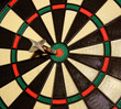 bull's eye