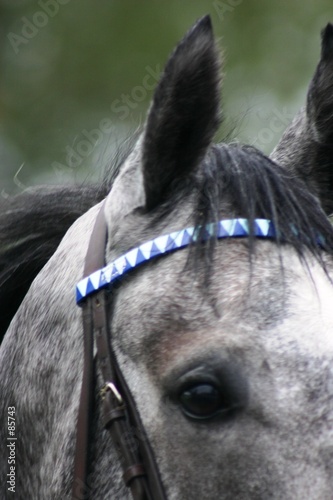 Photo: equidé3 equidé3