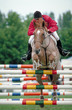 concours hippique