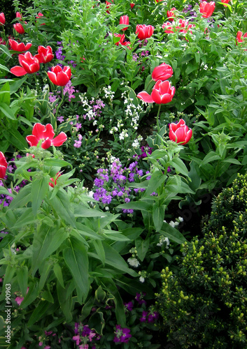 fleurs