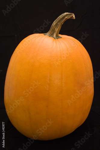 pumpkin on black background