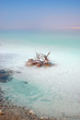 bords de la mer morte