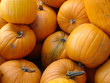 pumpkins