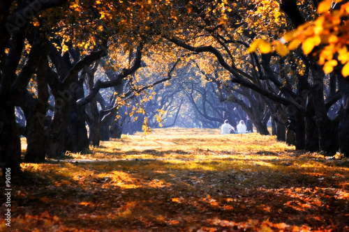 Autumn