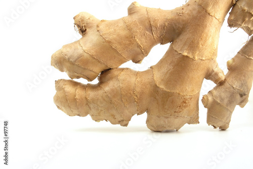 ginger ginger