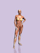 anatomy of the woman. anatomy of the woman.