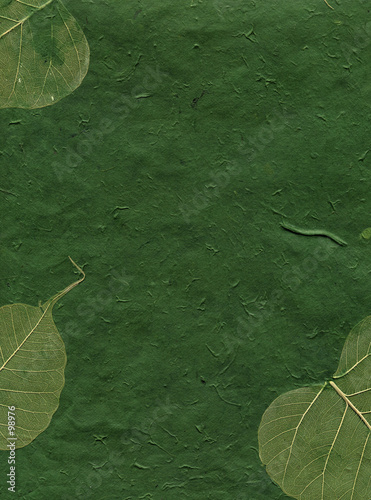 texture series - green paper with leaves
