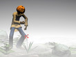 halloween, pumpkin jack, foggy forest.