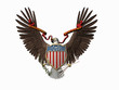 Ilustración: american great seal, e pluribus unum. american great seal, e pluribus unum.