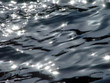 the sea in the sun