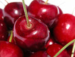 Photo en ligne au meilleur prix cherries