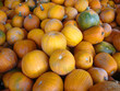 pumpkins