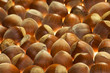 timber nut