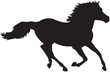 horse running