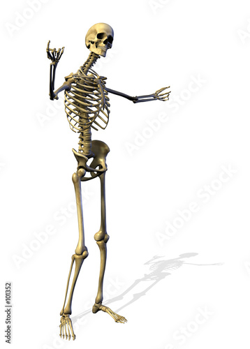 skeleton welcomes you
