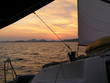 sailing in sunset