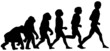 human evolution