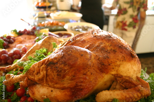 golden turkey