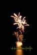 fireworks [2]