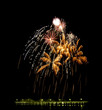 fireworks [8]