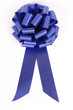 blue ribbon