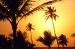 puesta de sol en goa 1 puesta de sol en goa 1