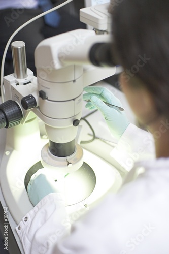 scientist examining through microscope