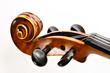 Photo: scroll scroll